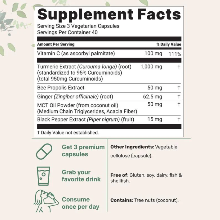 Anivia Turmeric Curcumin