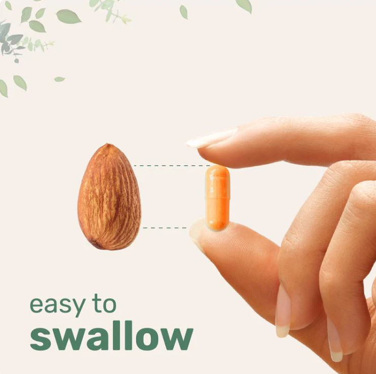 Anivia Turmeric Curcumin